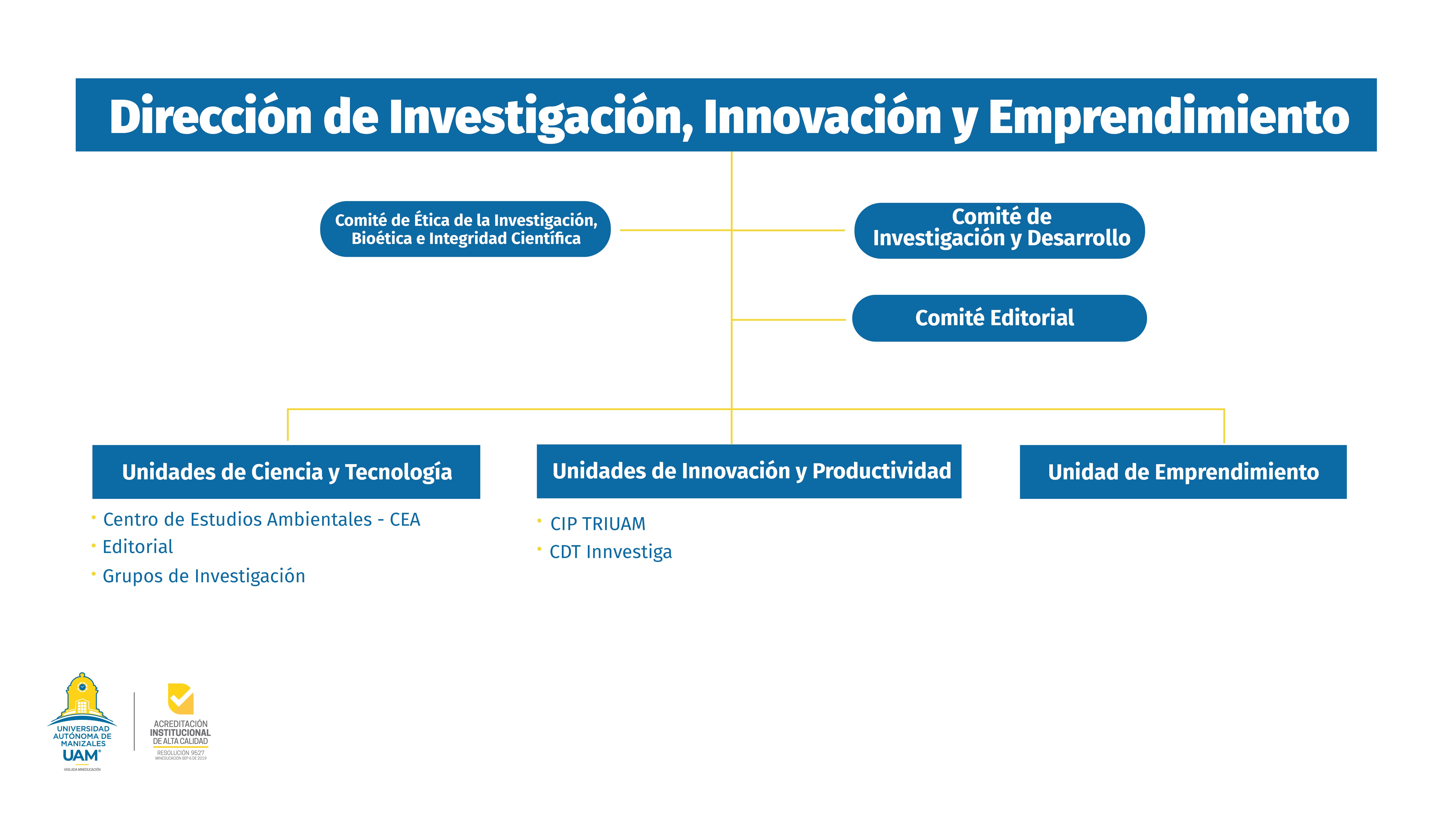 Dirección de Investigación Innovación y Emprendimiento