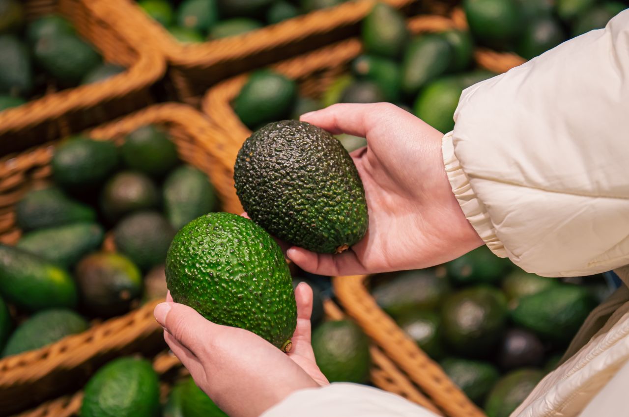 Términos de referencia convocatoria producción de aguacate en Samaná-Caldas