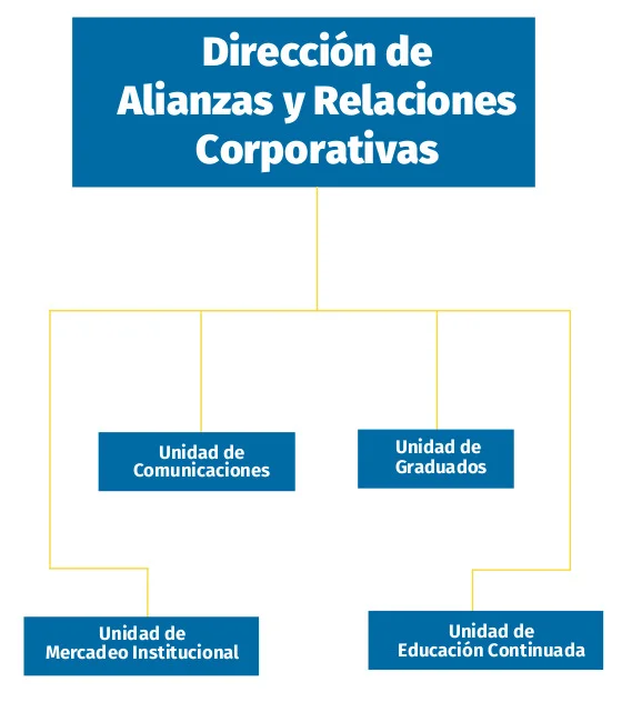 Organigrama Dirección de Alianzas y Relaciones Corporativas UAM