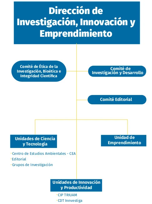 Organigrama Dirección de Investigación, Innovación y Emprendimiento UAM