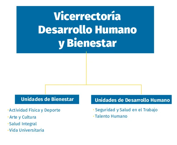 Organigrama Vicerrectoría Desarrollo Humano y Bienestar UAM