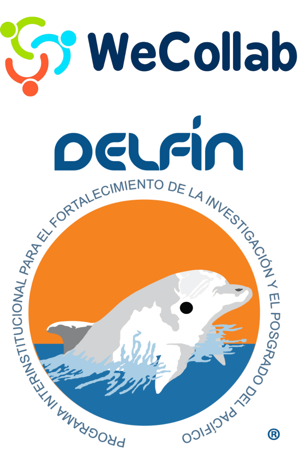 Beca MIVI del Programa Delfín - Programas de Voluntariado Internacional con WeCollab