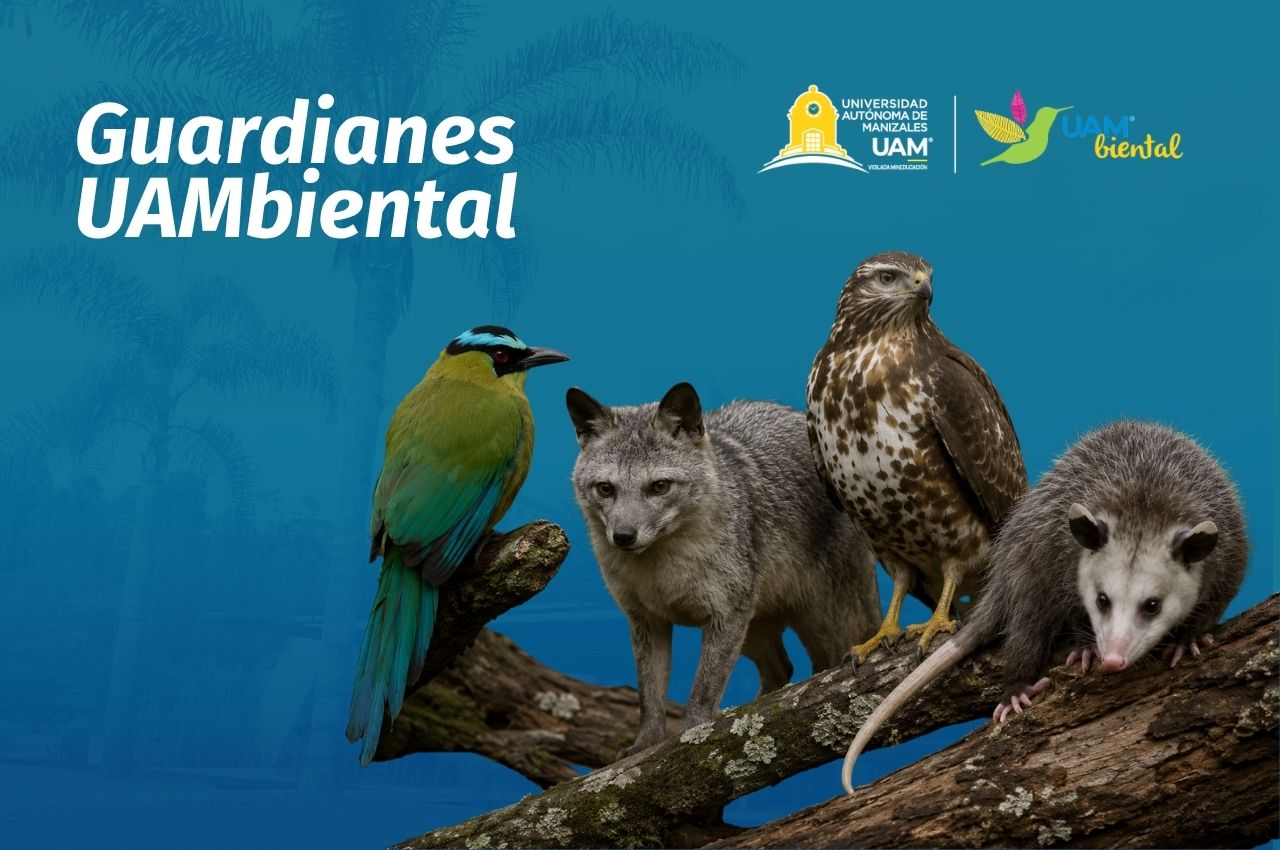 Guardianes UAMbiental