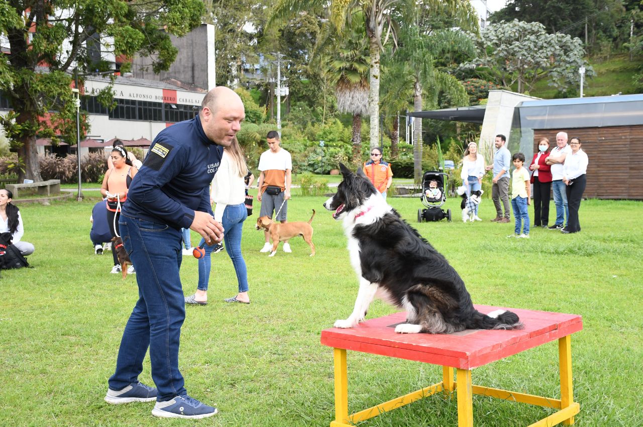 Perro de Búsqueda