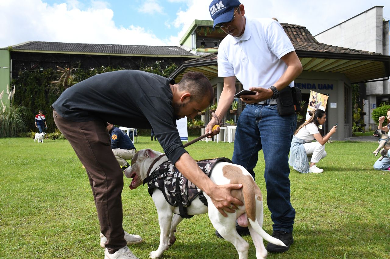 caninos-en-la- UAM