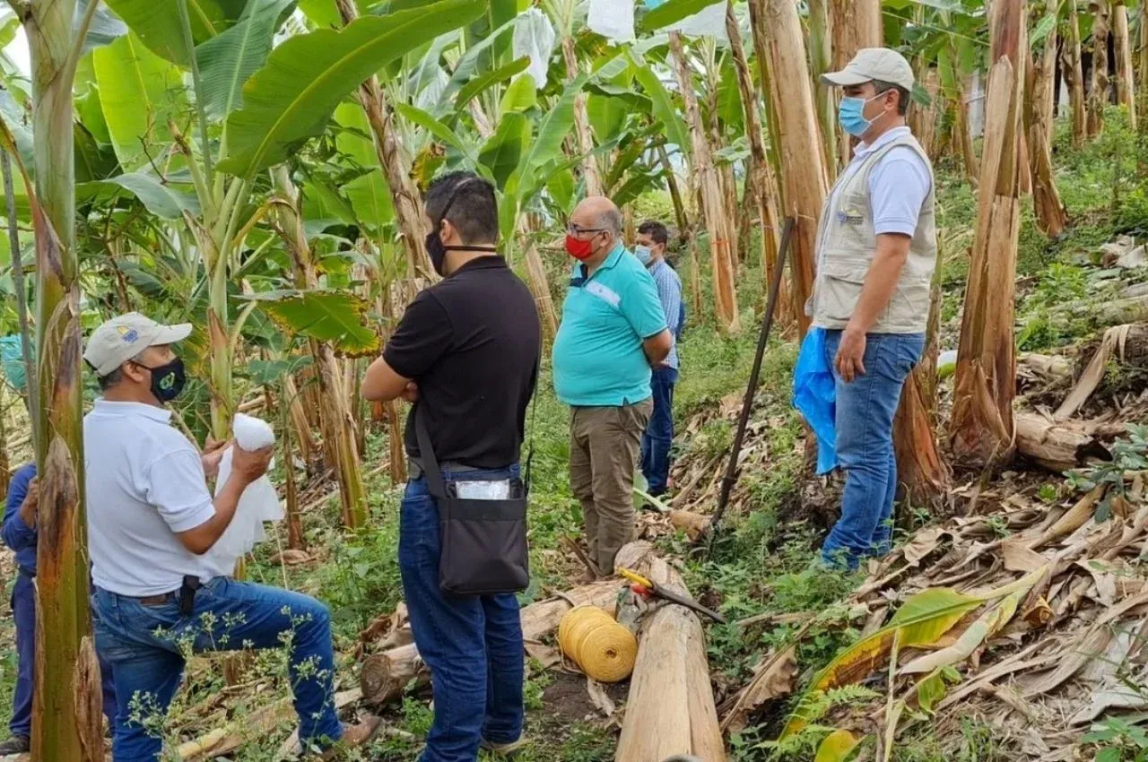 agro-mas-competitivo