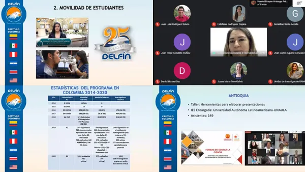 Delfin- investigación