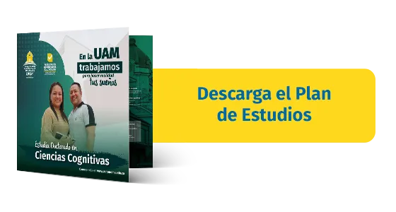 Plan-Estudios-Doctorado-Ciencias-Cognitivas