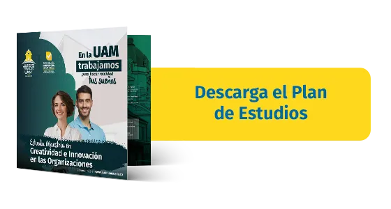 Plan de Estudios Creatividad e Innovación en las Organizacionos 