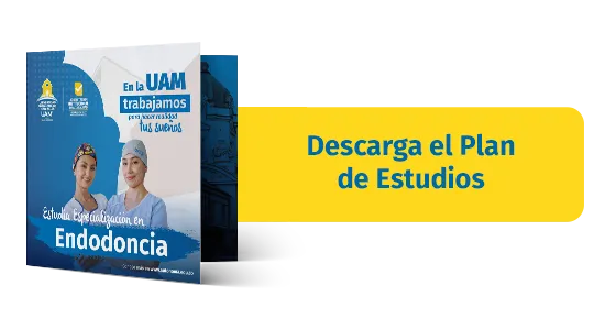 Plan-Estudio-Endodoncia
