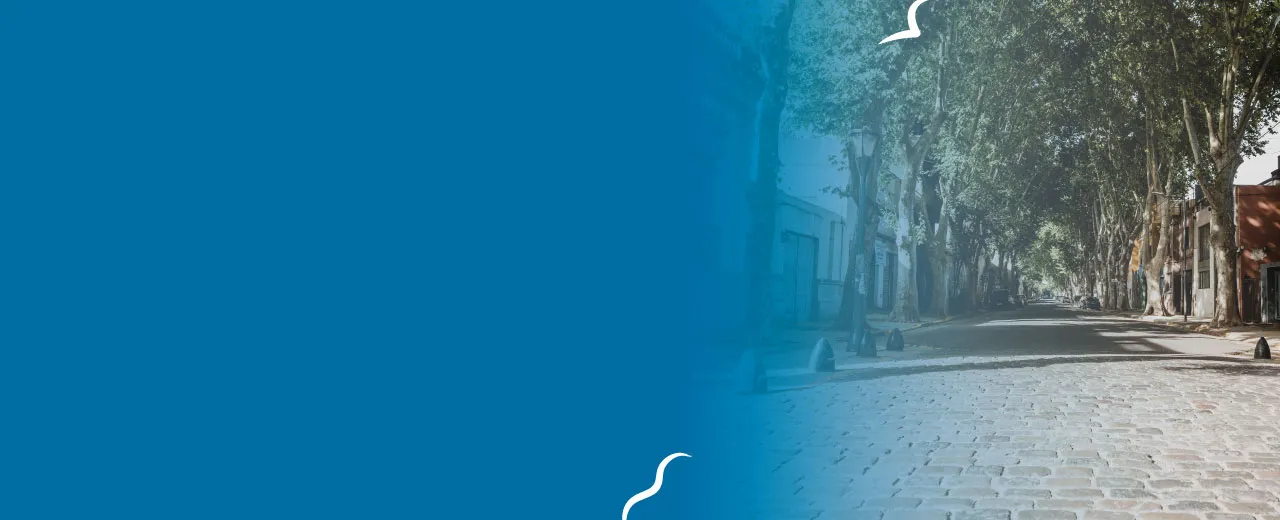 Imagen del banner