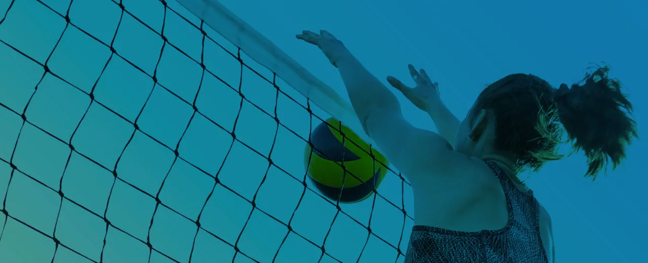 Imagen del banner