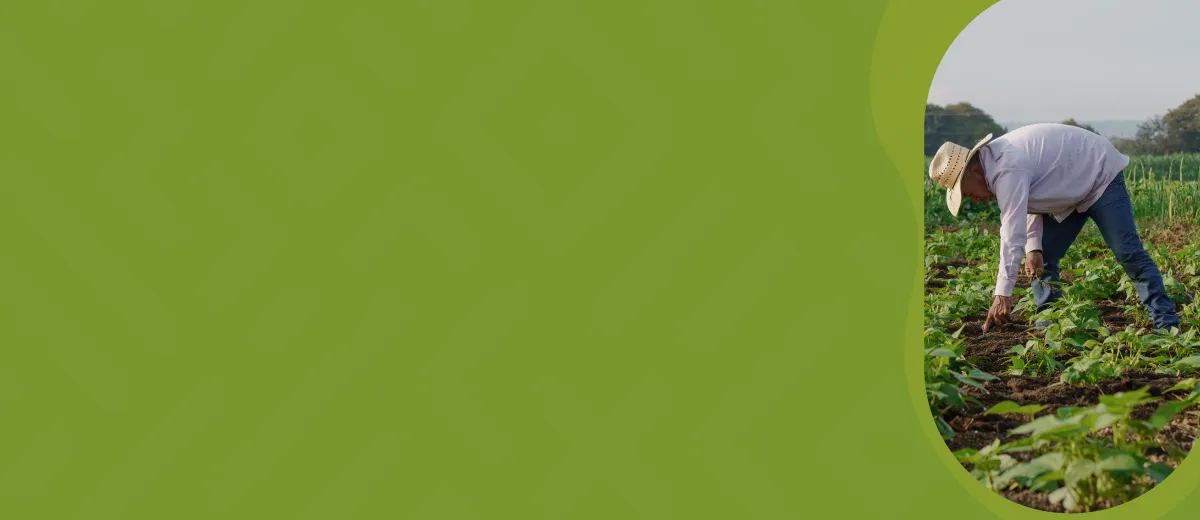 Imagen del banner