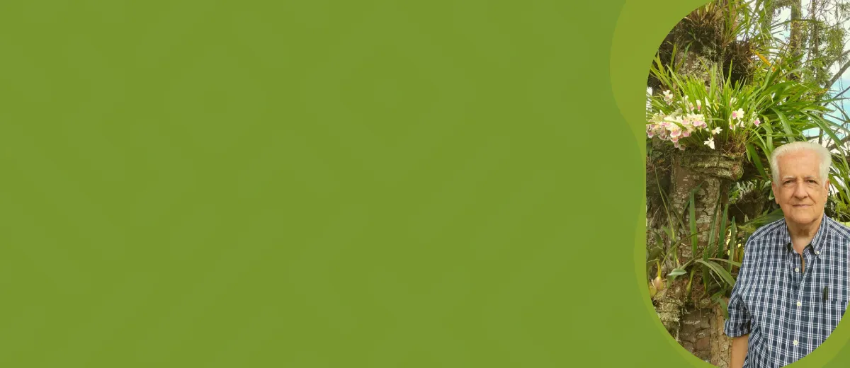 Imagen del banner