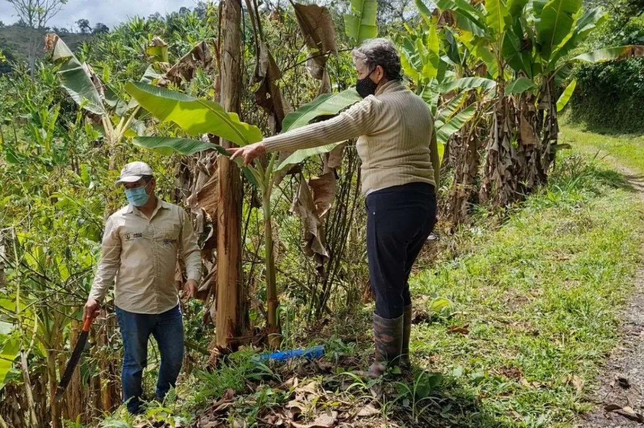 Convocatorias Ministerio de Agricultura y Desarrollo Rural 