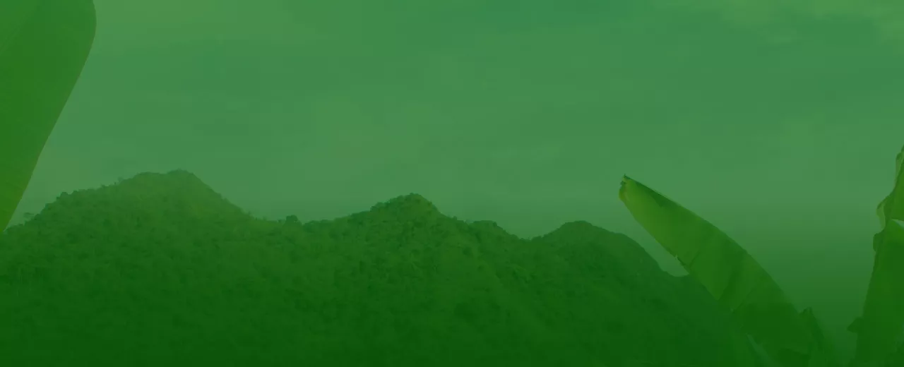 Imagen del banner