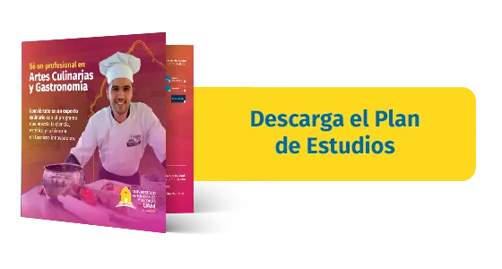 Plan de estudios Artes Culinarias y Gastronomía