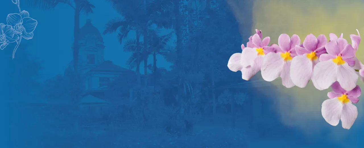 Imagen del banner