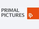 logo Primal Pictures